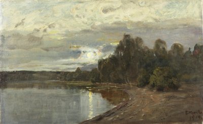 Landschaft im Mondlicht von Elias Muukka